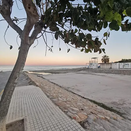 Planta Baja A 20 Metros Del Mar * Torre de la Horadada